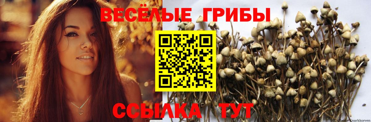 Псилоцибиновые грибы мухоморы Городец